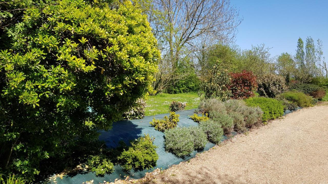 Bed and Breakfast La Demeure Du Goupil Brissac-Quince Esterno foto